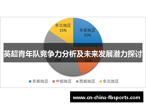 英超青年队竞争力分析及未来发展潜力探讨